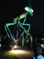 k-IMG_7706